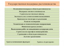 Государственная поддержка растениеводства