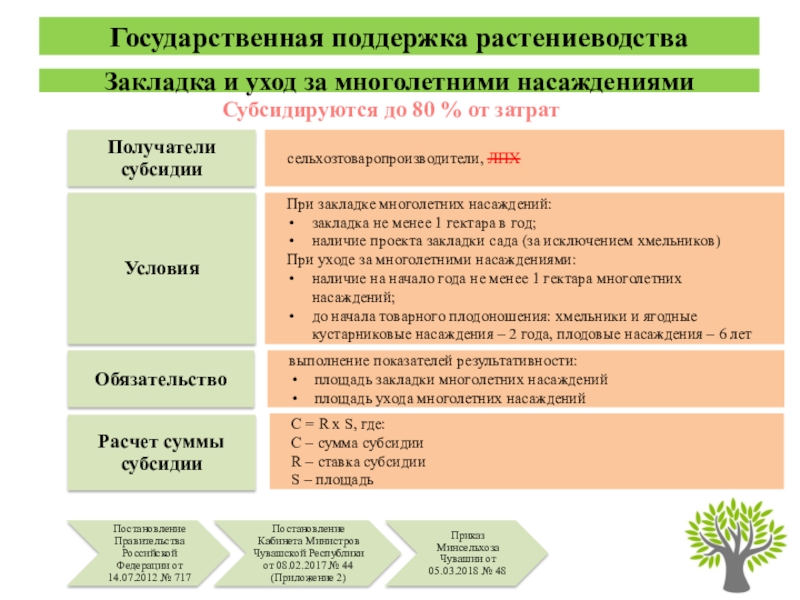 Дайте характеристику растениеводства по плану. Этапы растениеводства. Этапы развития растениеводства. Затраты на закладку многолетних насаждений. Мероприятия по развитию отрасли растениеводства.