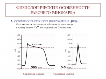 ФИЗИОЛОГИЧЕСКИЕ ОСОБЕННОСТИ РАБОЧЕГО МИОКАРДА