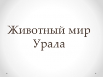 Животный мир Урала