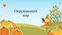 Окружающий мир