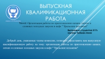 Выпускная квалификационная работа