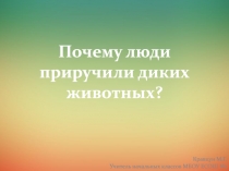 П очему люди приручили диких животных?