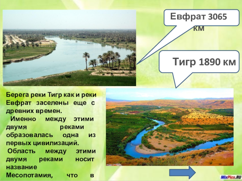 Тигр образует реку. Притоки реки тигр. Река тигр и Евфрат. Описание реки тигр. Питание реки Евфрат.