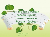 Отчего так в России берёзы шумят: стихи о символе России - берёзе