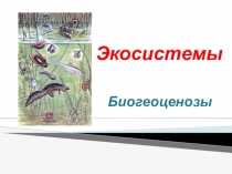 Экосистемы