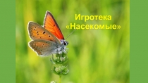 Игротека Насекомые