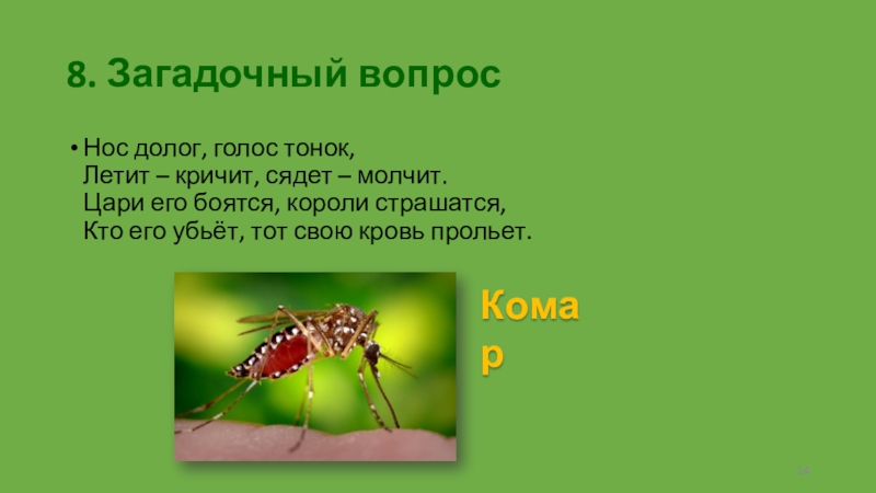 Ты кричал оно молчало загадка. Загадка нос долог голос тонок. Летит кричит сядет молчит кто его убьет тот свою кровь прольет. Летит летит сядет молчит. Нос долог голос звонок.