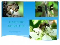 ЦАРСТВО ЖИВОТНЫЕ