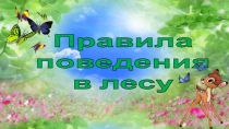 Правила
поведения
в лесу