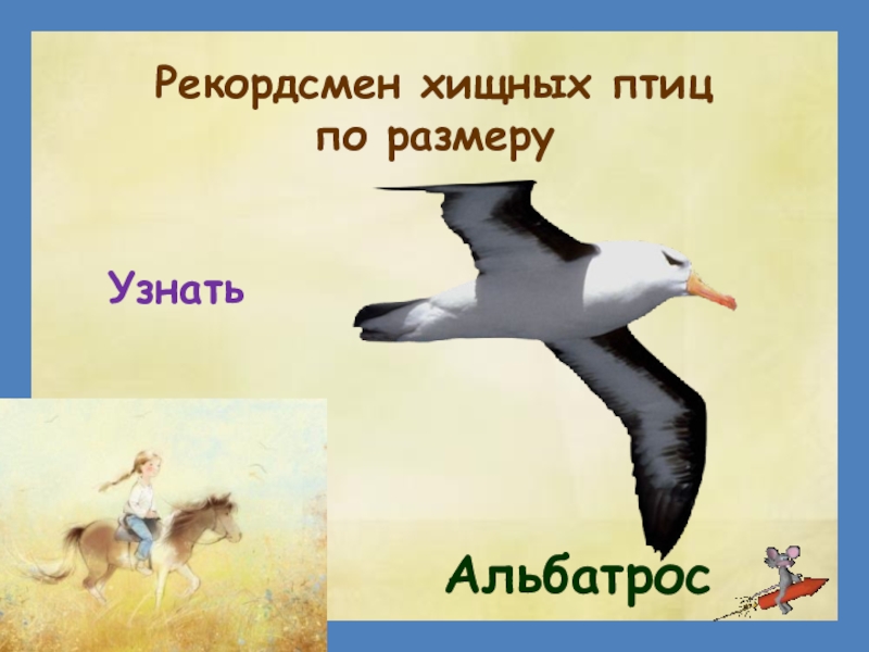 Птицы рекордсмены