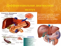 Дифференциальная диагностика желтух