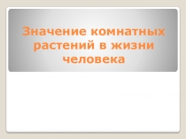 Значение комнатных растений в жизни человека