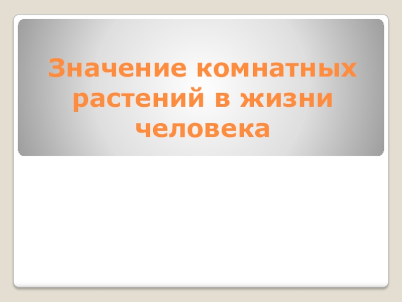 Значение комнатных растений в жизни человека