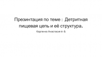 Презинтация по теме : Детритная пищевая цепь и её структура
