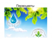 Первоцветы
