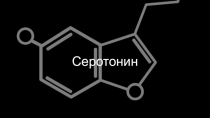 Серотонин