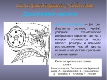 Презентация Microsoft Office PowerPoint