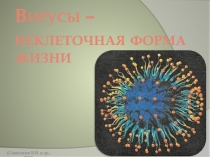 Вирусы – неклеточная форма жизни