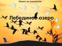 Лебединое озеро
Проект по технологии