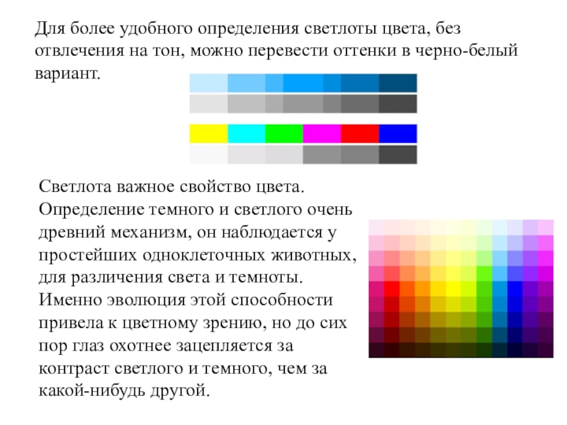 Определение цвета. Светлота это определение. Определение цветности. Белый цвет определение. Закономерность светлоты Гете.