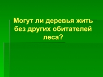 Могут ли деревья жить без других обитателей леса?