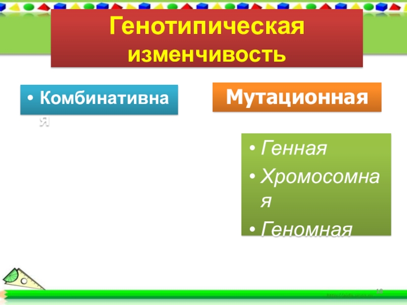 Сообщение генотипическая изменчивость. Генная изменчивость. Синонимы генотипической изменчивости. Генотипическая цепочка. Генотипические классы.