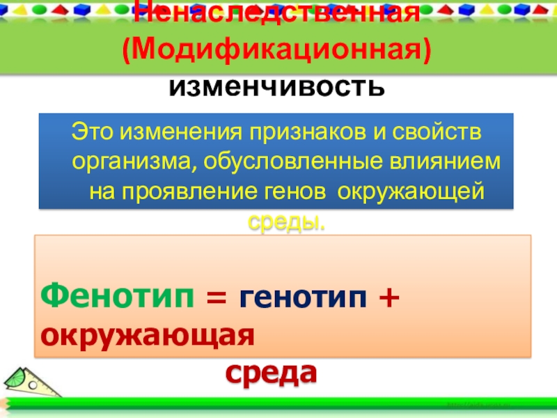 Изменяемые признаки. Ненаследственная модификационная изменчивость. Признаки ненаследственная модификационная. Причина модификационной изменчивости признаков изменение. Ненаследственная изменчивость это изменение фенотипа.