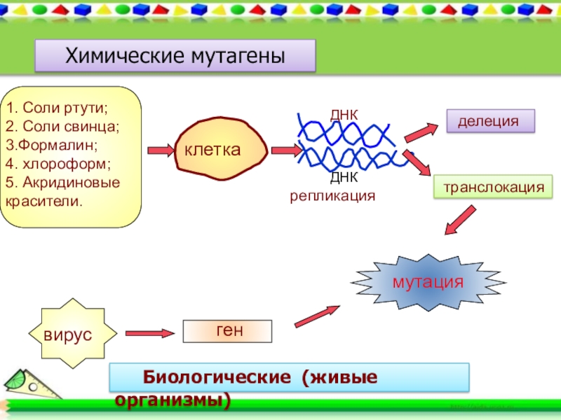 Солей ртути. Химические мутагены. Химический мутагенез примеры. Биологические мутагены. Химические мутагены примеры.