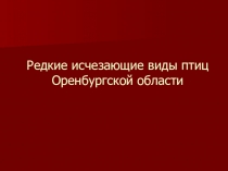 Редкие исчезающие виды птиц Оренбургской области