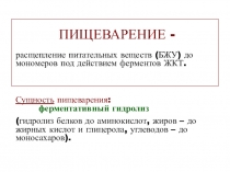 ПИЩЕВАРЕНИЕ -
