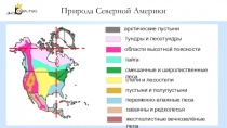 Природа Северной Америки
арктические пустыни
тундры и лесотундры
области