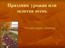 Праздник урожая или золотая осень