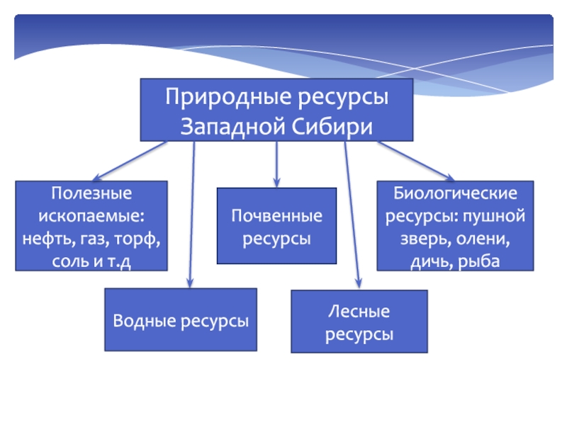 Природные ресурсы сибири план