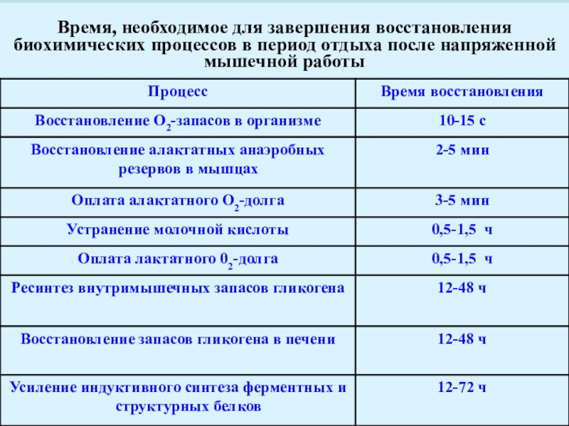 Периоды отдыха. Периоды восстановления после мышечной работы. Периоды отдыха периоды работы. Биохимические изменения в период отдыха после мышечной работы.