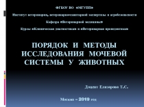 Порядок и методы исследования мочевой системы у животных