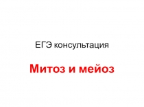 ЕГЭ консультация
