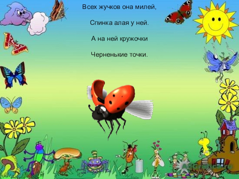 Загадки про насекомых для дошкольников. Насекомые презентация для дошкольников. Вопросы про насекомых. Загадки про насекомых.