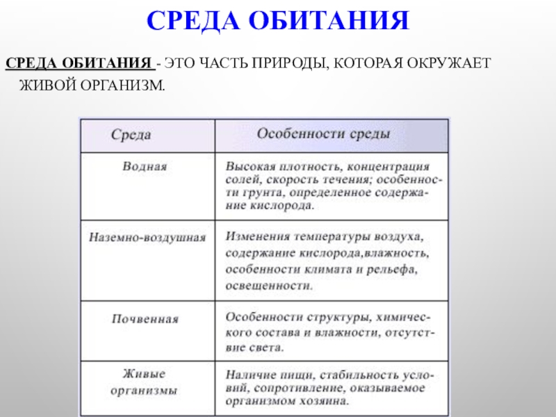 Многообразие видов это результат создания их одним творцом по заранее намеченному плану кто сказал