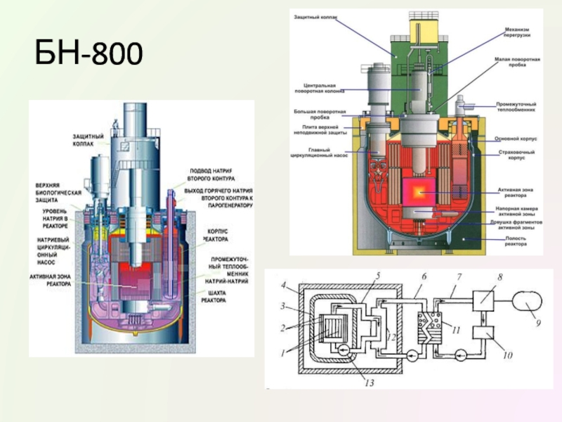 Первая в мире на быстрых нейтронах. БН-800 реактор модель. Парогенератор реактора БН 800. Промежуточный теплообменник БН-800. Корпус реактора БН-600.