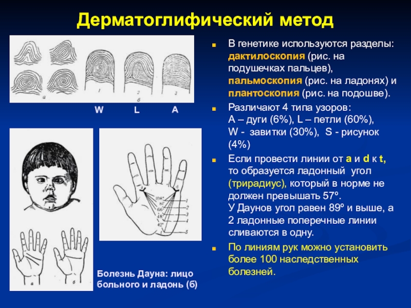 Дерматоглифический рисунок это