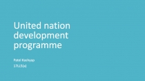 United nation development programme