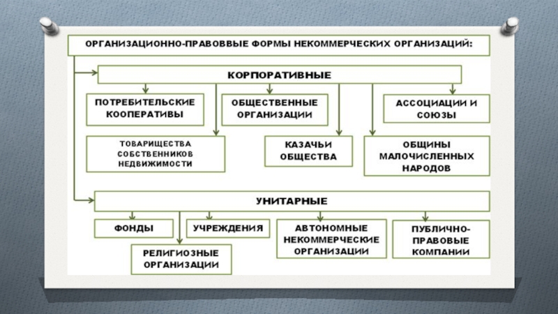 Презентация финансы некоммерческих организаций