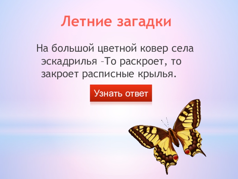 Презентация загадки про лето для детей 5 6 лет с ответами