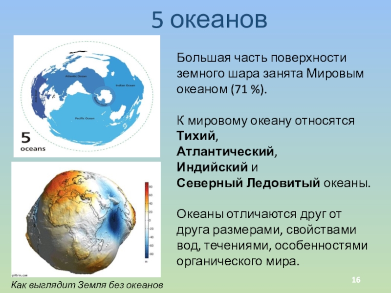 Какую часть занимает океан