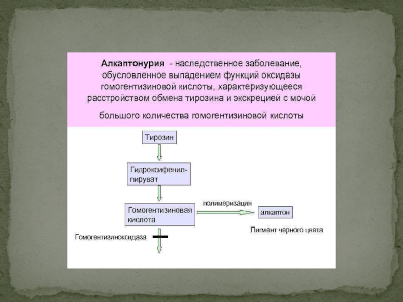 Роль наследственности в патологии презентация