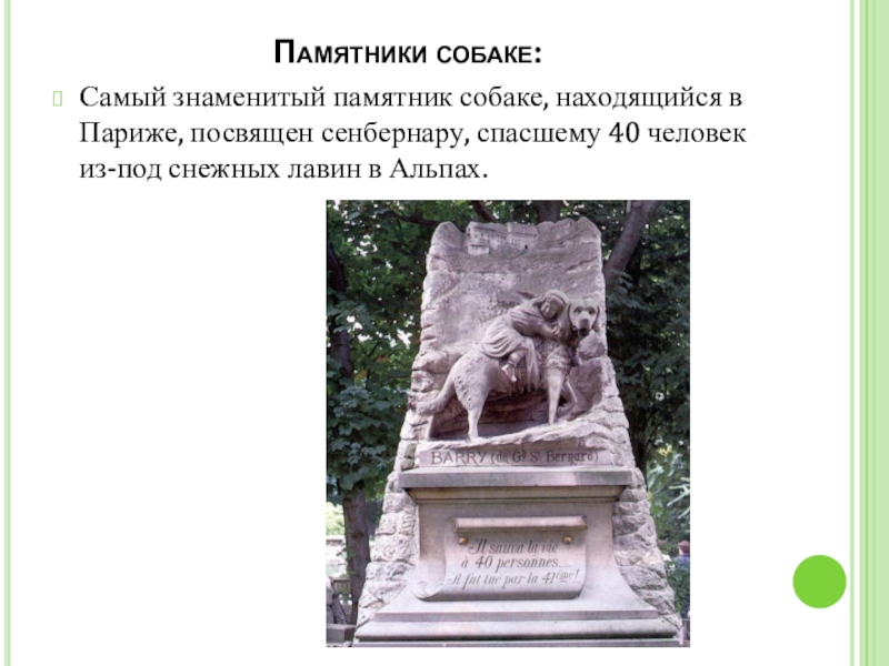 В каком городе установлен монумент спасения ребенка. Памятник собаке в Париже. Самый знаменитый памятник собаке в Париже Сенбернар. Памятник  посвященный сенбернару. Сенбернар который спас 40 человек.