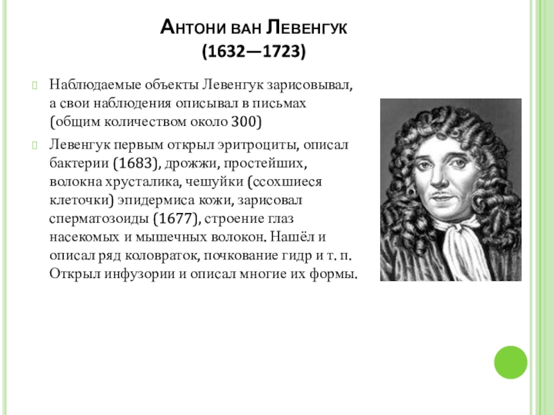 Открытие ван левенгука. Ван Левенгук вклад. Антони Ван Левенгук вклад. Левенгук вклад в биологию. Антони Ван Левенгук вклад в медицину.