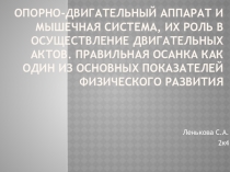 Опорно-двигательный аппарат и мышечная система, их роль в осуществление
