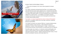 эффект бабочки
#помоги себе сам
#преграды
КОГДА РУШАТСЯ КРАСИВЫЕ ПЛАНЫ
Чтобы